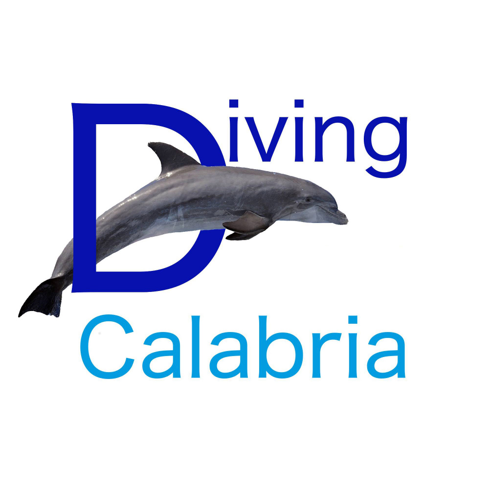 calabria excellent diving calabria