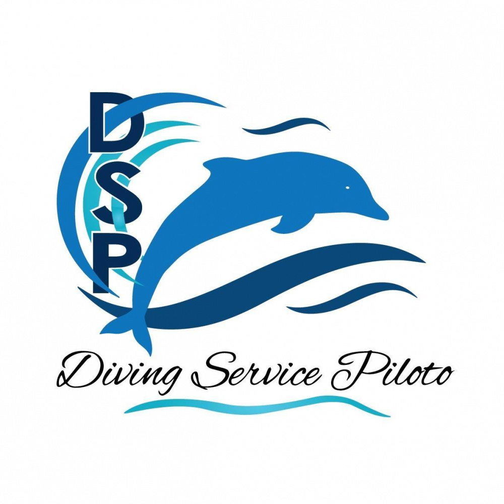 calabria excellent piloto diving service