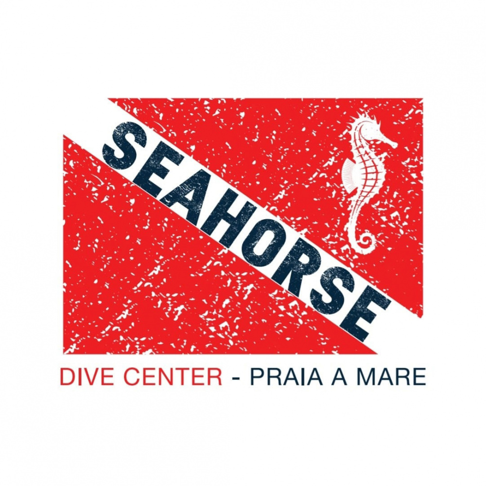 calabria excellent seahorse dive center