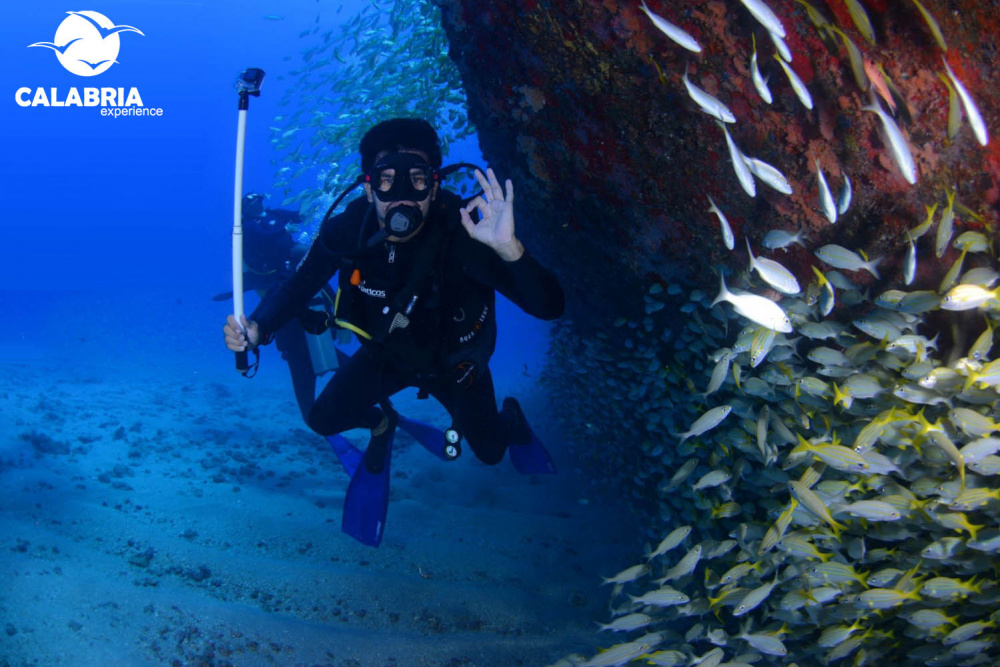 calabria experience immersioni subaquee sub diving